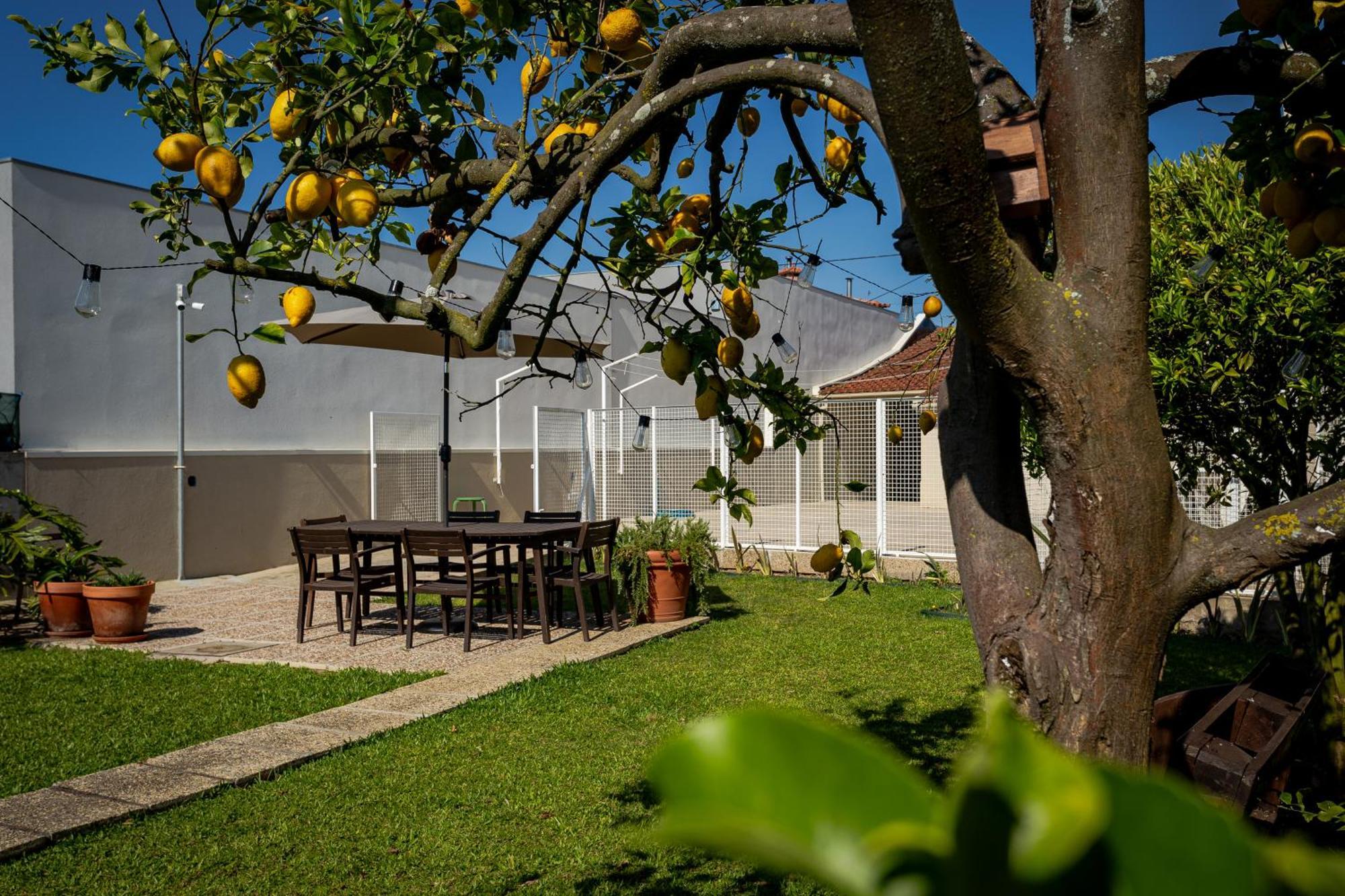 Willa 708 Mugnano House Aveleda Vila do Conde Zewnętrze zdjęcie